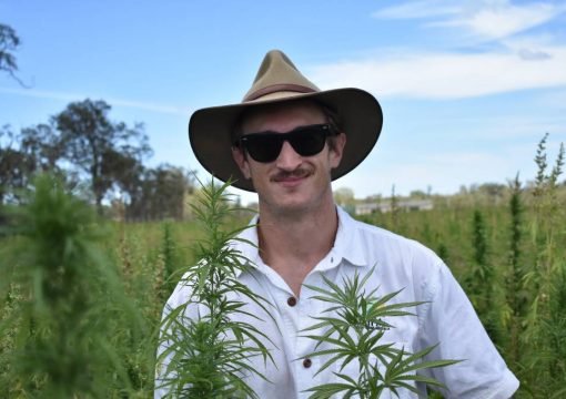 Breaking the niche, how cannabis could add $1b to the economy