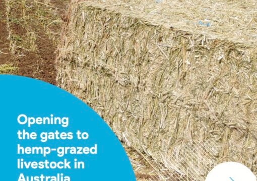 Opening the Gates to Hemp-Grazed Livestock